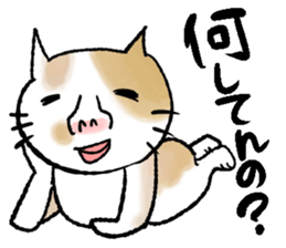 Human-faced cat sticker #765796