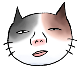 Human-faced cat sticker #765820