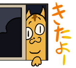 Cat true sticker #766245