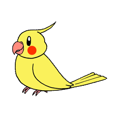 "Daily cockatiel" With bird 01