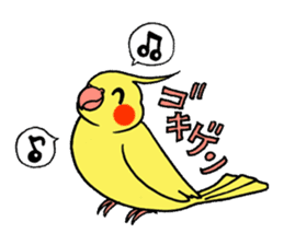 "Daily cockatiel" With bird 01 sticker #766911