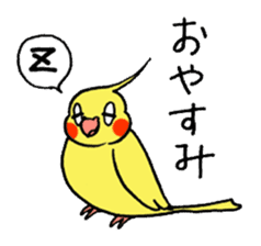 "Daily cockatiel" With bird 01 sticker #766913