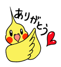 "Daily cockatiel" With bird 01 sticker #766914