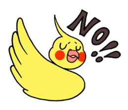 "Daily cockatiel" With bird 01 sticker #766916