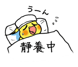 "Daily cockatiel" With bird 01 sticker #766918