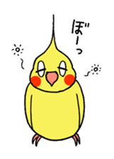 "Daily cockatiel" With bird 01 sticker #766919