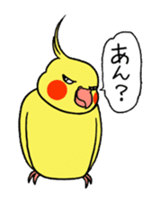 "Daily cockatiel" With bird 01 sticker #766921