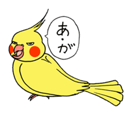 "Daily cockatiel" With bird 01 sticker #766922