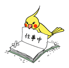 "Daily cockatiel" With bird 01 sticker #766924