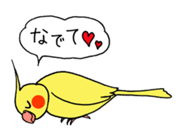 "Daily cockatiel" With bird 01 sticker #766925