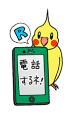 "Daily cockatiel" With bird 01 sticker #766927