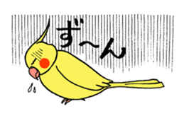 "Daily cockatiel" With bird 01 sticker #766930