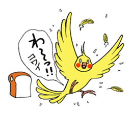 "Daily cockatiel" With bird 01 sticker #766932