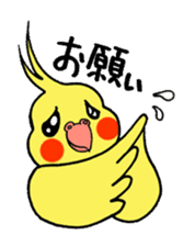 "Daily cockatiel" With bird 01 sticker #766933