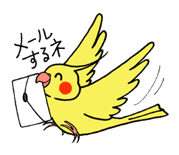 "Daily cockatiel" With bird 01 sticker #766935