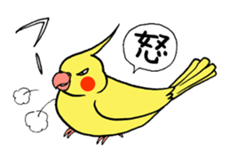 "Daily cockatiel" With bird 01 sticker #766939