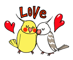 "Daily cockatiel" With bird 01 sticker #766941