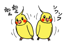 "Daily cockatiel" With bird 01 sticker #766944