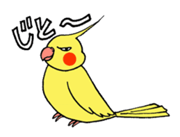 "Daily cockatiel" With bird 01 sticker #766946