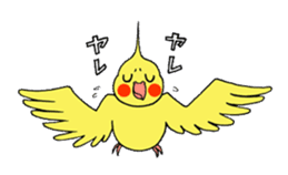 "Daily cockatiel" With bird 01 sticker #766947