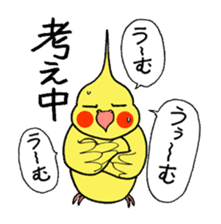 "Daily cockatiel" With bird 01 sticker #766948