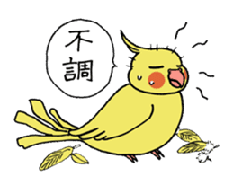 "Daily cockatiel" With bird 01 sticker #766949