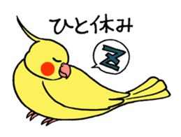 "Daily cockatiel" With bird 01 sticker #766950