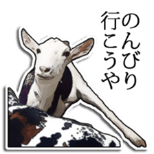 Shiropen the pygmy goat vol.1 sticker #769351