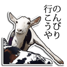 Shiropen the pygmy goat vol.1 sticker #769351