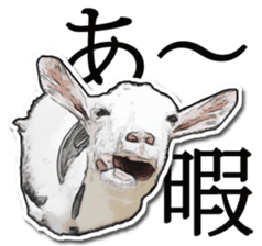 Shiropen the pygmy goat vol.1 sticker #769357
