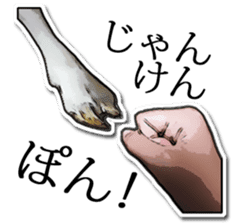 Shiropen the pygmy goat vol.1 sticker #769358