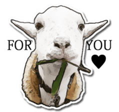 Shiropen the pygmy goat vol.1 sticker #769361