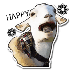 Shiropen the pygmy goat vol.1 sticker #769362