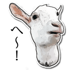 Shiropen the pygmy goat vol.1 sticker #769365
