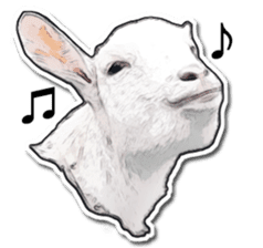 Shiropen the pygmy goat vol.1 sticker #769368