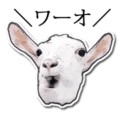 Shiropen the pygmy goat vol.1 sticker #769369