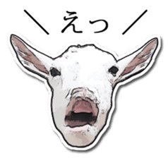 Shiropen the pygmy goat vol.1 sticker #769370