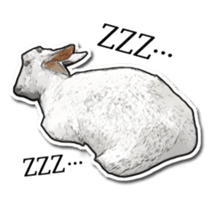 Shiropen the pygmy goat vol.1 sticker #769372