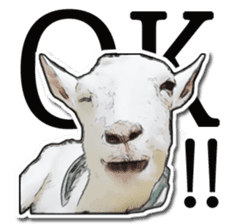 Shiropen the pygmy goat vol.1 sticker #769375