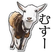 Shiropen the pygmy goat vol.1 sticker #769380