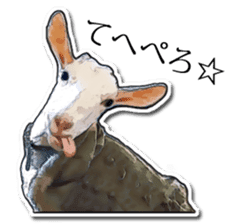 Shiropen the pygmy goat vol.1 sticker #769382