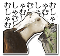 Shiropen the pygmy goat vol.1 sticker #769383