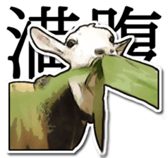 Shiropen the pygmy goat vol.1 sticker #769384