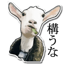 Shiropen the pygmy goat vol.1 sticker #769385