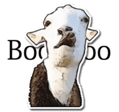 Shiropen the pygmy goat vol.1 sticker #769386