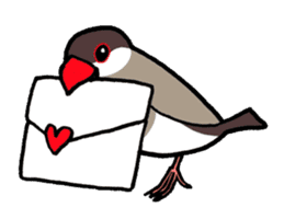 "Daily Java sparrow" With bird 02 sticker #774592