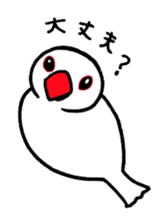 "Daily Java sparrow" With bird 02 sticker #774594