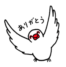 "Daily Java sparrow" With bird 02 sticker #774595