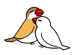 "Daily Java sparrow" With bird 02 sticker #774598