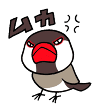 "Daily Java sparrow" With bird 02 sticker #774601